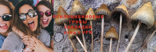 первитин Армянск