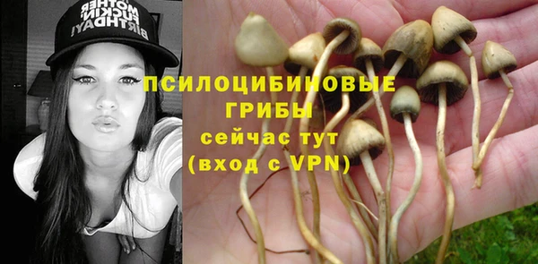 mdpv Арсеньев